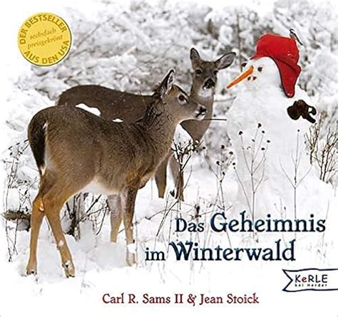 Das Geheimnis des Hauses Nr. 13: Eine Reise durch die Anfänge des Kinos und eine Begegnung mit dem talentierten Regisseur Robert Reinert!